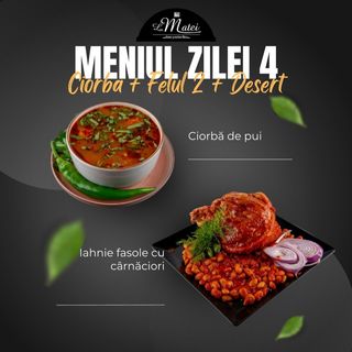 OFERTA MANCARE GATITA 4