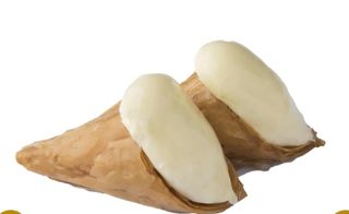Trigona