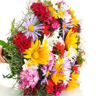 bouquet fiori di campo