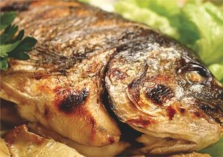 Ципура на скара (1бр)