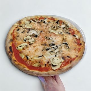 Funghi