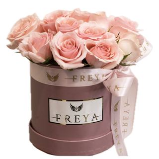 Cutie 5 miniroze roz