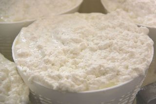 Piadina squacquerone e confettura extra di albicocca