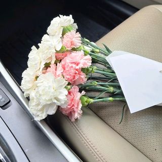 მიხაკები