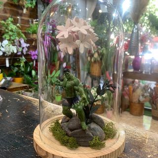 Cúpula con Biznaga y SúperHéroe "Masa Verde"