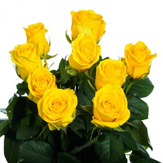 Ramo de 6 rosas amarillas