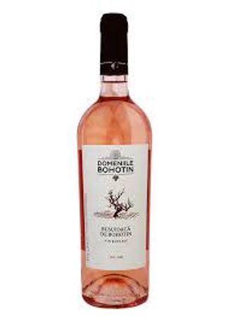 Domeniile Bohotin - Busuioaca de Bohotin