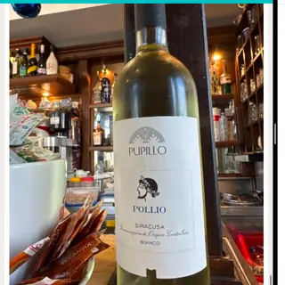 Pollio, pupillo