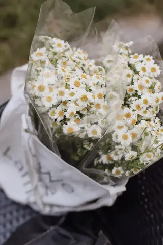 გვირილის თაიგული გამჭვირვალე შესაფუთ ქაღალდში