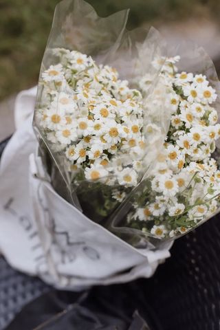 გვირილის თაიგული გამჭვირვალე შესაფუთ ქაღალდში