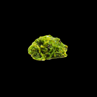 Goma wakame