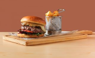 Burger Nasti de plasti