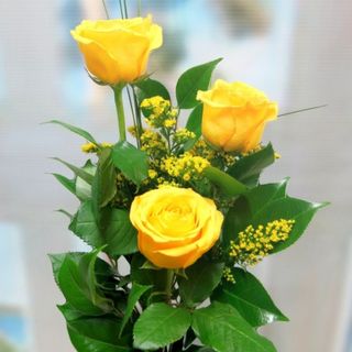 3 Rosas amarillas