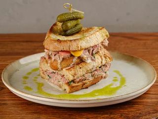 Мелт з тунцем (285g)