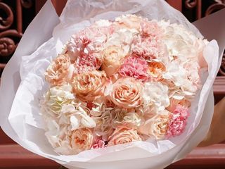 Blush M size