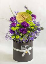 ეუსტომის კოლოფი (დიდი)