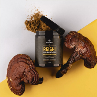 Solve Reishi (Lakownica żółtawa) 10:1 Mushroom powder 30g