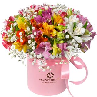 Квіти в коробці "Яскрава фантазія"