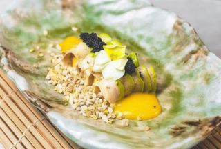 3. New mango salmon - 4 pezzi