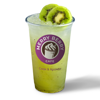 Лимонад Алое Вера-ківі (500мл)