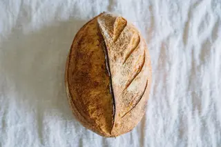Pâine grâu dur
