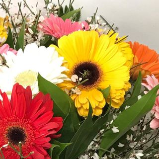 Bouquet di gerbere multicolore + Rosa rossa centrale