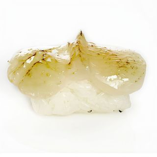 Nigiri vieira  flambeada (1 pieza)