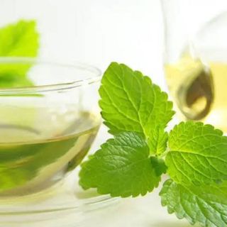 Fruit Tea De Menta (500 Ml.)