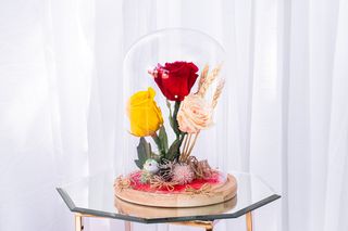 Trandafir cupola mare