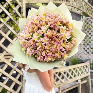 ვარდისფერი ალსტრომერიები 1031