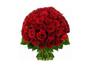 71 Рози, червени | 1 pieces