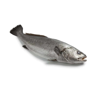 Ombrine 
