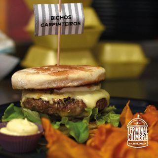 Bichos Carpinteiros