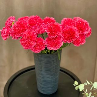 Діантус малиновий 