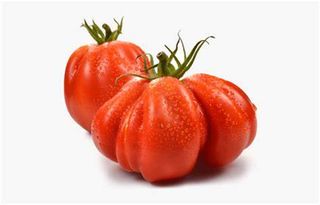 Pomodori cuore di bue 1 kg