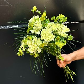 Ramo de 7 Claveles Verde