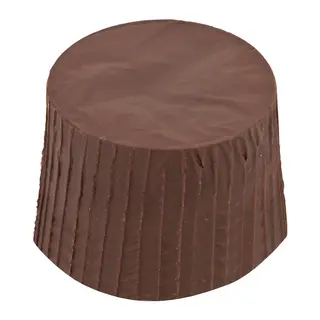 Mascota