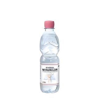 Apa Plata Izvorul M. 0,5 L SGR