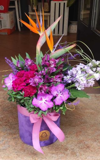 Plišana kutija K008