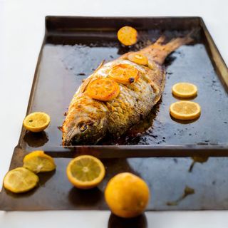Croaker Fish