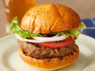 Magspot omelette burger