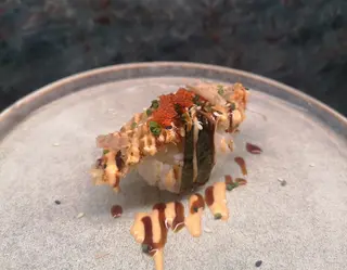 Nigiri unagi T