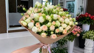 ნაზი სპრეი