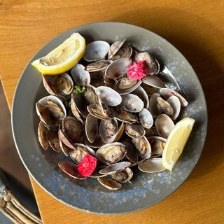 Вонголе в испанском стиле