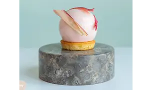 Rhubarbe