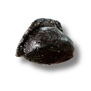 Gyozas de Pulpo, Sepia y Chipiron en su Tinta