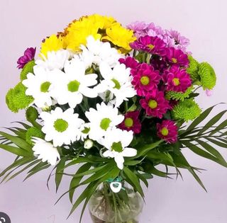 Ramo De Margaritas Variadas