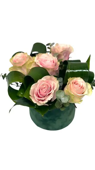 Pink box roses