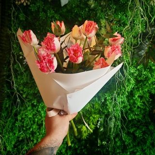 Buchet 11 lalele crete