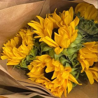 მზესუმზირა ( 5 ცალი )